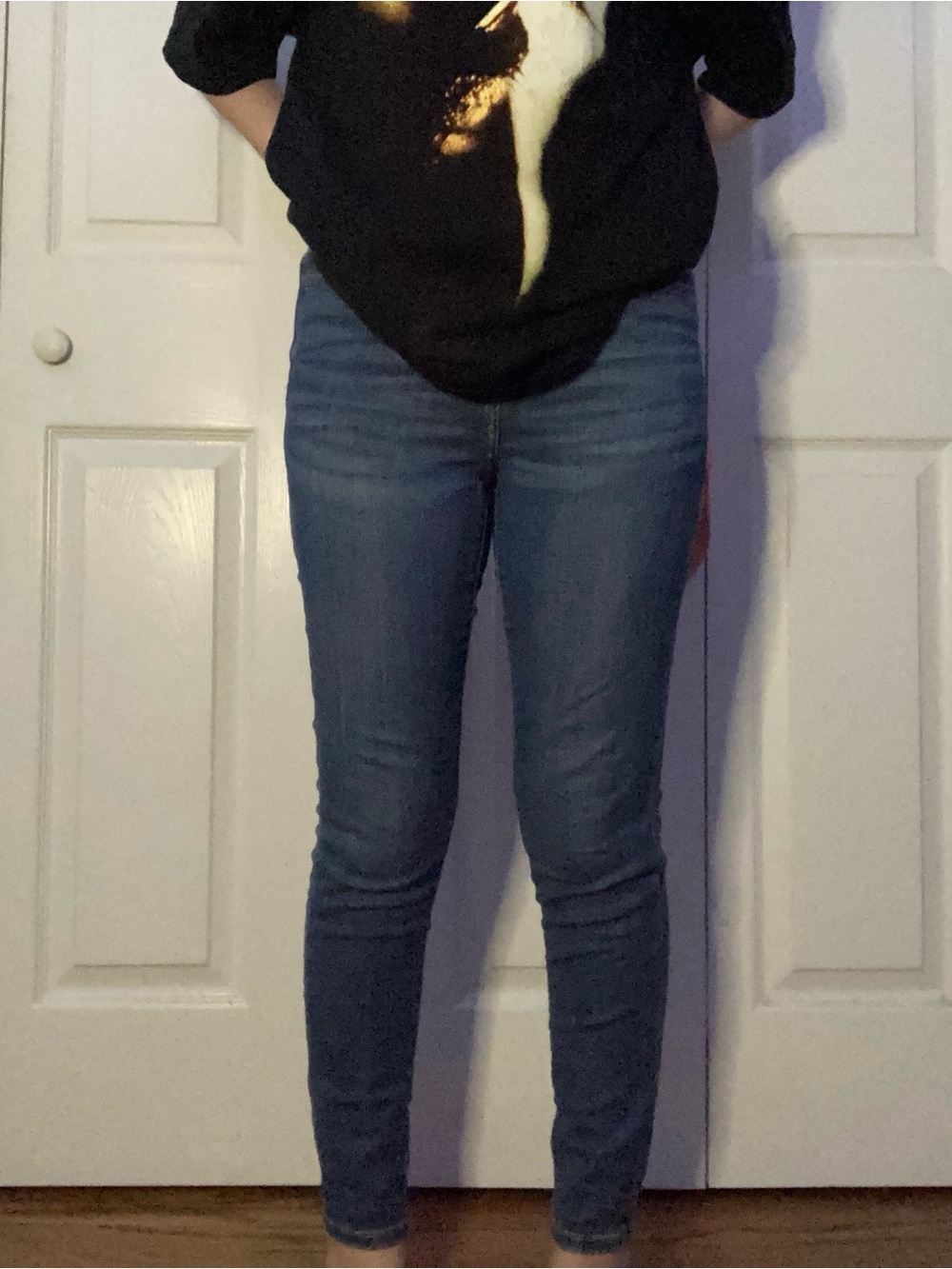 American Eagle Outfitters Blue Skinny Jeggings